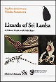 スリランカのトカゲ大図鑑