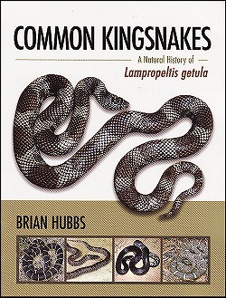 動植物関連書籍 ＞ 爬虫類 ＞ ヘビ ＞ ナミヘビ ＞ コモンキング 