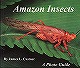 アマゾンの昆虫の魅力