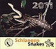 2012年ドイツ製ヘビのカレンダー