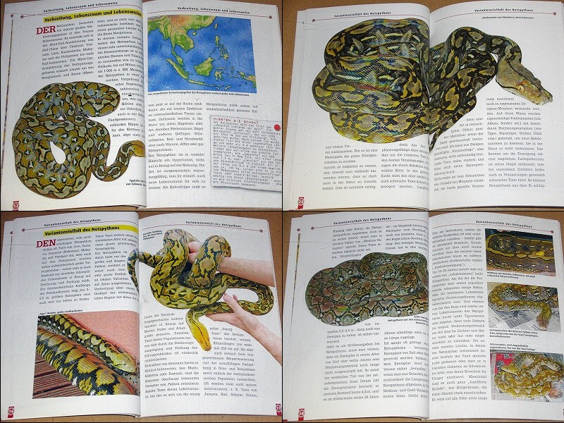 動植物関連書籍 爬虫類 ヘビ ボア パイソン アミメニシキヘビの飼育と繁殖