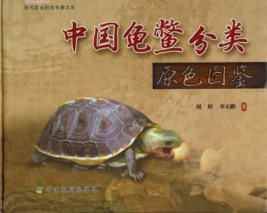 動植物関連書籍 爬虫類 カメ カメ全般 中国亀類大図鑑